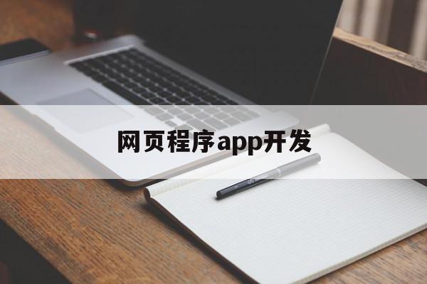 网页程序app开发(网页程序app开发方案)