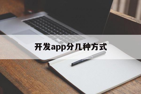 开发app分几种方式(开发app分几种方式类型)