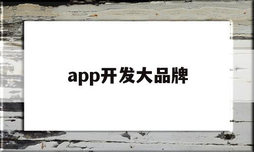 app开发大品牌(app开发的知名公司有哪些)