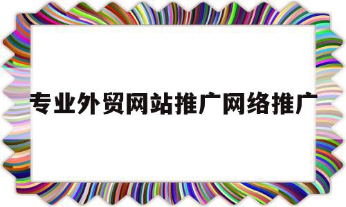 专业外贸网站推广网络推广(网站推广及其网络营销网络推广)