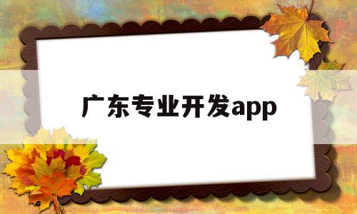 广东专业开发app(广东学软件开发哪个学校好)