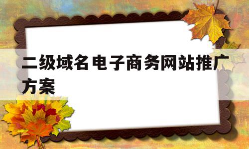 二级域名电子商务网站推广方案(二级域名电子商务网站推广方案有哪些)