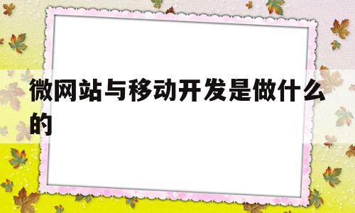 微网站与移动开发是做什么的的简单介绍