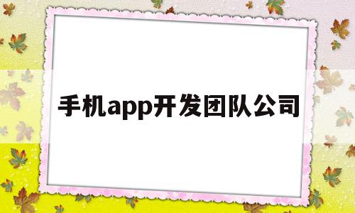 手机app开发团队公司(手机app开发团队公司名称)