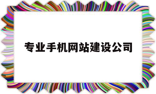 专业手机网站建设公司(专业手机网站建设公司招聘)