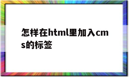 怎样在html里加入cms的标签(在html中加入css的方法有几种)