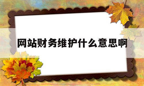 网站财务维护什么意思啊(网站财务维护什么意思啊怎么写)