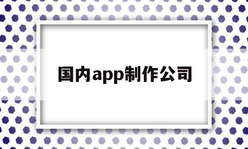 国内app制作公司(国内app制作公司排名)