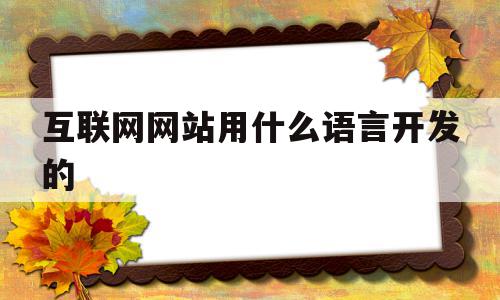 互联网网站用什么语言开发的(互联网网站用什么语言开发的好)