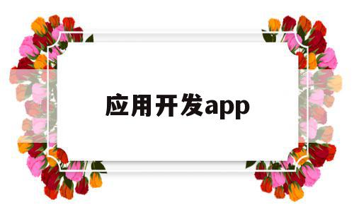 应用开发app(应用开发和软件开发的区别)