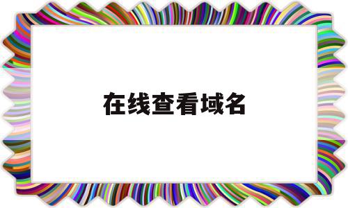 在线查看域名(在线查看域名证书信息查询)