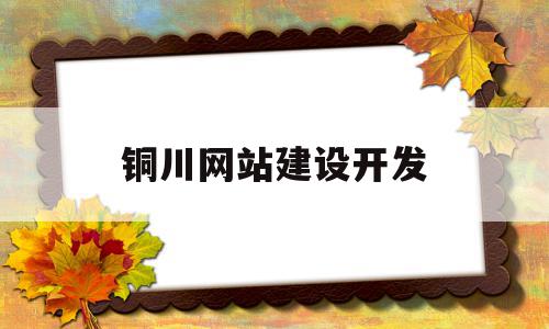 铜川网站建设开发(铜川建设工程信息网)