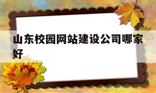 山东校园网站建设公司哪家好(山东校园网站建设公司哪家好一点)