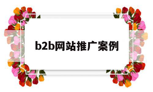 b2b网站推广案例(b2b平台推广产品的效果)