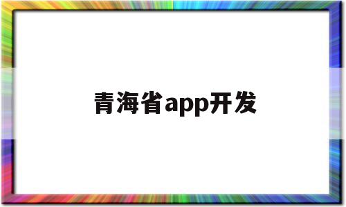 青海省app开发(青海信息技术有限公司)