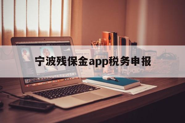 宁波残保金app税务申报(2023年残保金税务申报流程及时间)