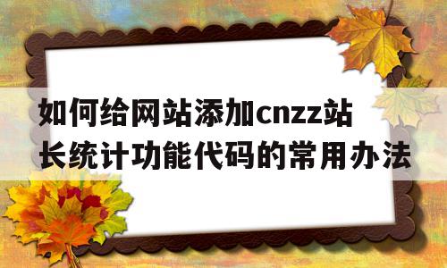 如何给网站添加cnzz站长统计功能代码的常用办法的简单介绍