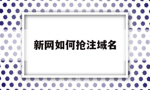 新网如何抢注域名(怎么抢注域名来挣钱?)