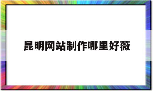 昆明网站制作哪里好薇的简单介绍