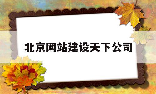 北京网站建设天下公司(北京网站建设天下公司招聘)