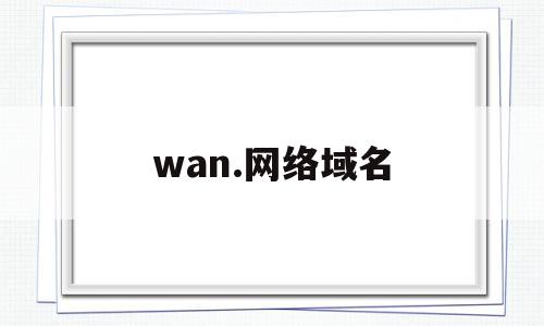 wan.网络域名(wang域名怎么样)