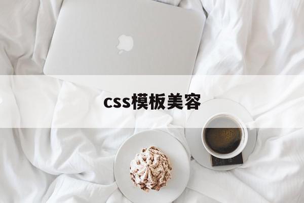 css模板美容(css美化表单案例)