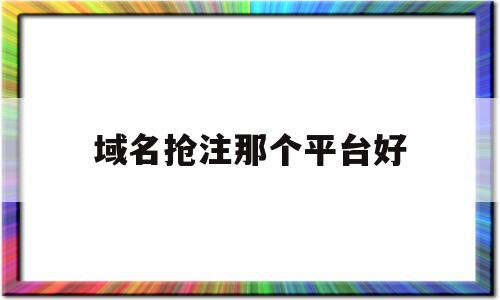 域名抢注那个平台好的简单介绍