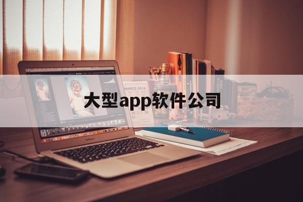 大型app软件公司(2020软件公司排行榜)