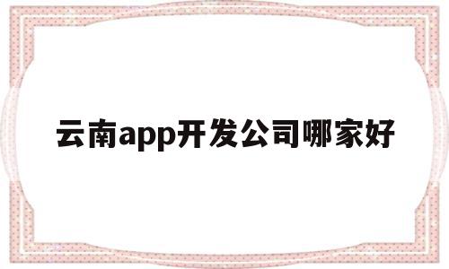 云南app开发公司哪家好(云南app开发公司哪家好一点)