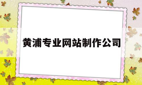 黄浦专业网站制作公司(上海黄浦区网络科技有限公司)