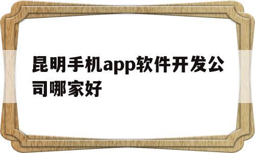 昆明手机app软件开发公司哪家好的简单介绍