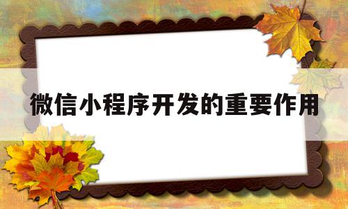 关于微信小程序开发的重要作用的信息