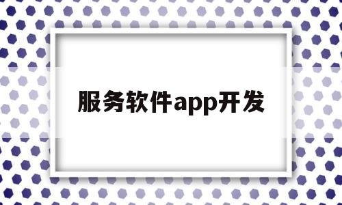 服务软件app开发(app服务器软件开发)