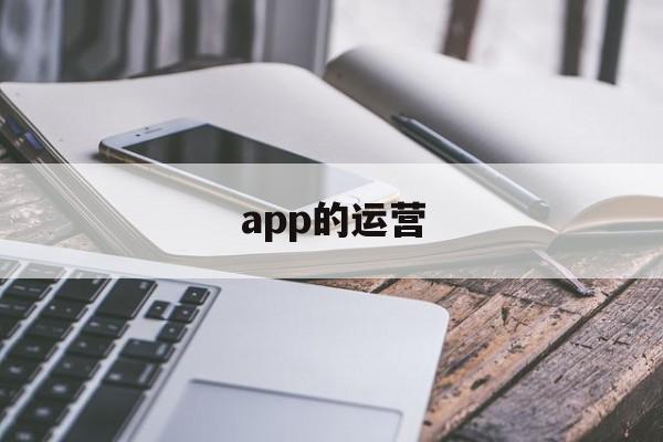 app的运营(APP的运营与维护)