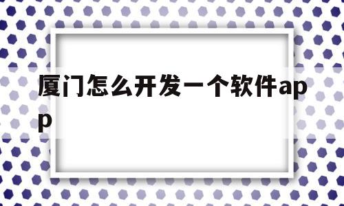 厦门怎么开发一个软件app的简单介绍