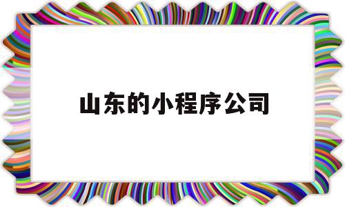 山东的小程序公司(山东微程小程序代理怎么样)