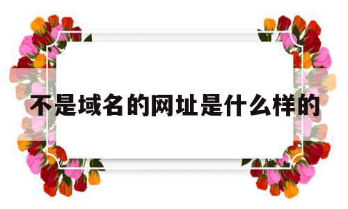 不是域名的网址是什么样的(以下域名不属于官网网站的是)