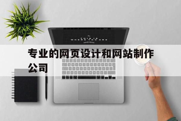 专业的网页设计和网站制作公司(专业的网页设计和网站制作公司的区别)