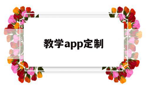 教学app定制(如何制作教学app)