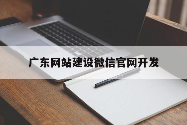 广东网站建设微信官网开发(广州网站制作建设)