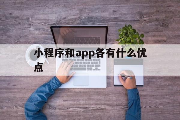 小程序和app各有什么优点(小程序和app有什么优势劣势),小程序和app各有什么优点(小程序和app有什么优势劣势),小程序和app各有什么优点,信息,百度,视频,第1张