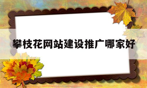 攀枝花网站建设推广哪家好(攀枝花百度整站优化服务)