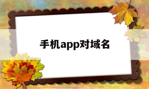 手机app对域名(手机app域名查询),手机app对域名(手机app域名查询),手机app对域名,微信,账号,营销,第1张