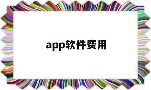 app软件费用(软件费用包括哪些)