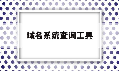 域名系统查询工具(域名系统查询工具在哪)