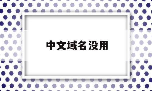 中文域名没用(中文域名有人用吗)