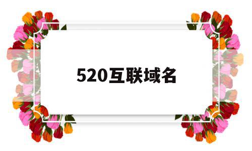 520互联域名(互联网域名交易平台)