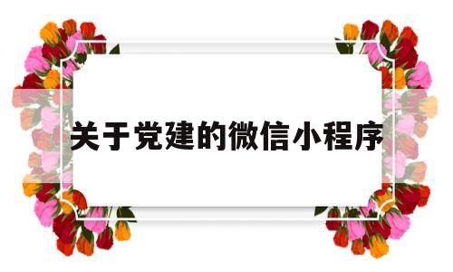 关于党建的微信小程序(做得比较好的党建微信号)