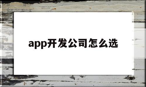 app开发公司怎么选(开发app的公司是怎样赚钱的)