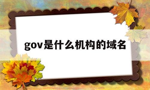 gov是什么机构的域名(gov的域名代表是政府机关吗)